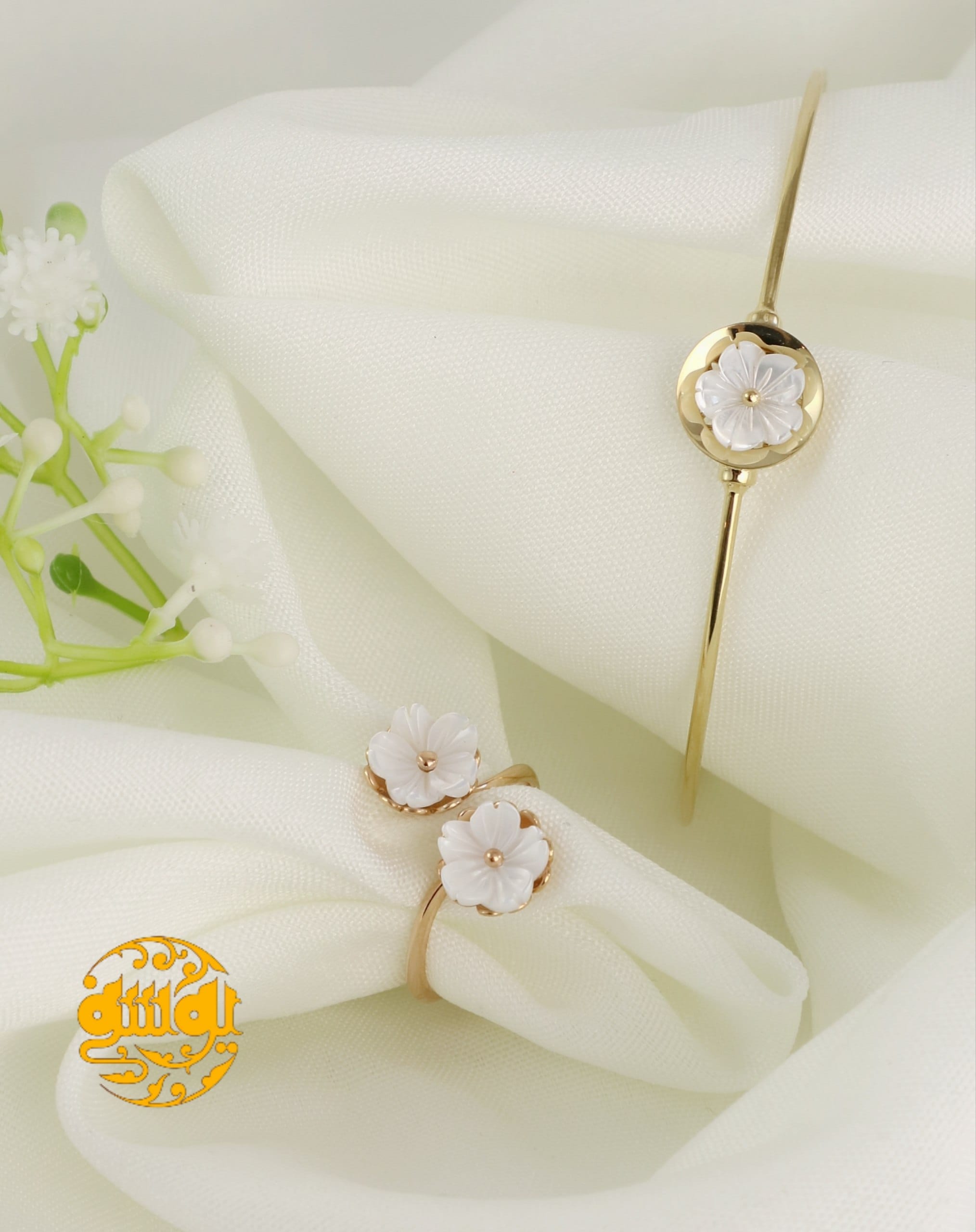 photo_2025-11-02_10-10-56