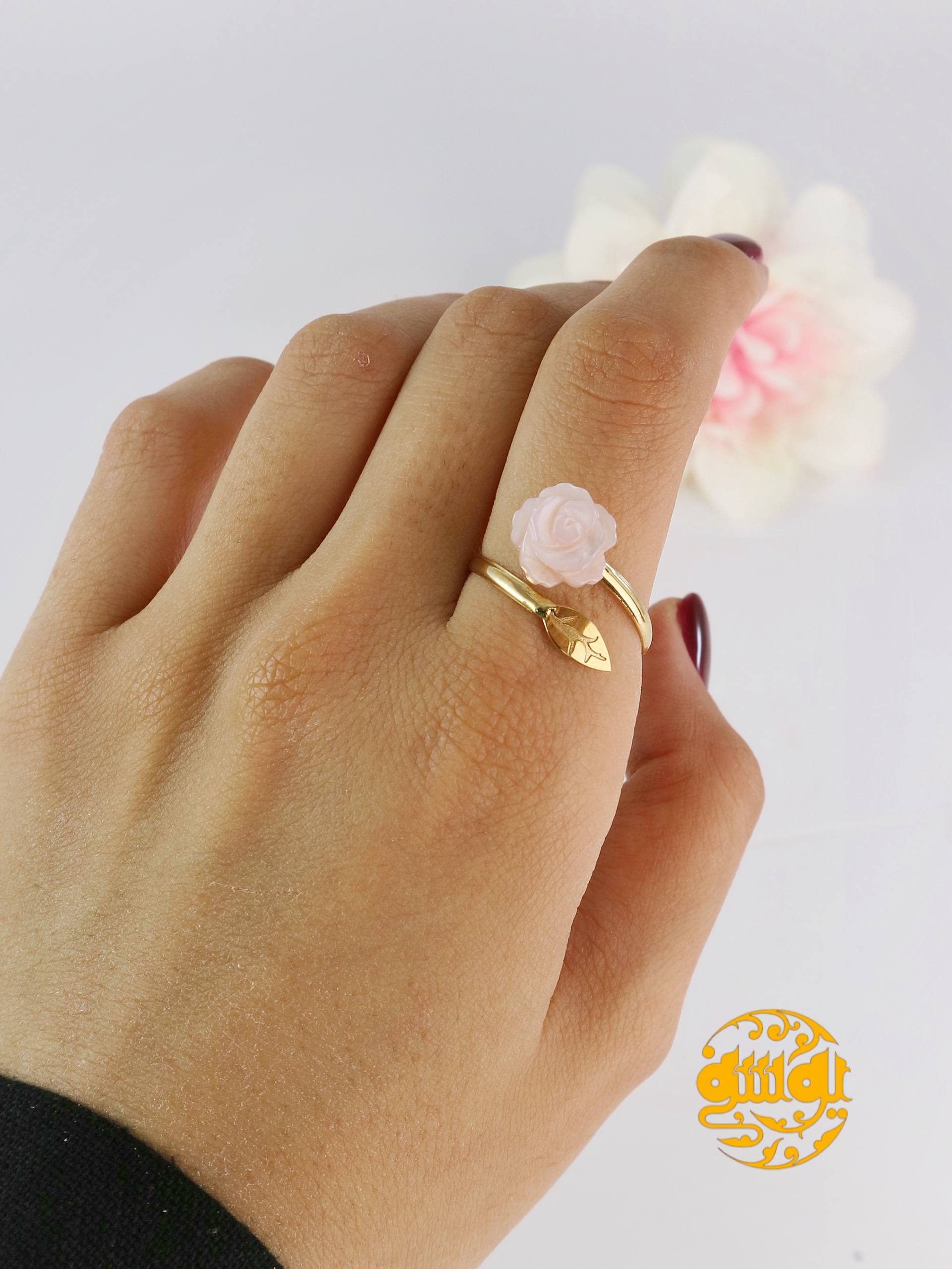 photo_2025-11-06_10-20-22