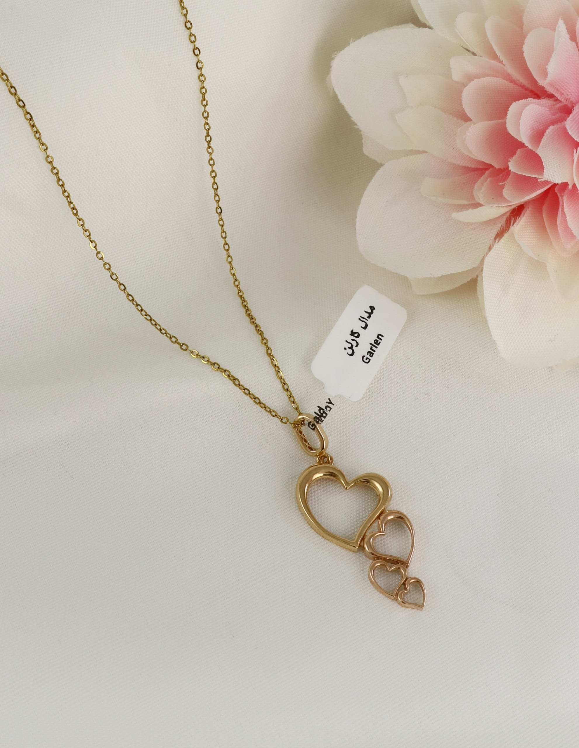 photo_2025-11-09_09-37-54