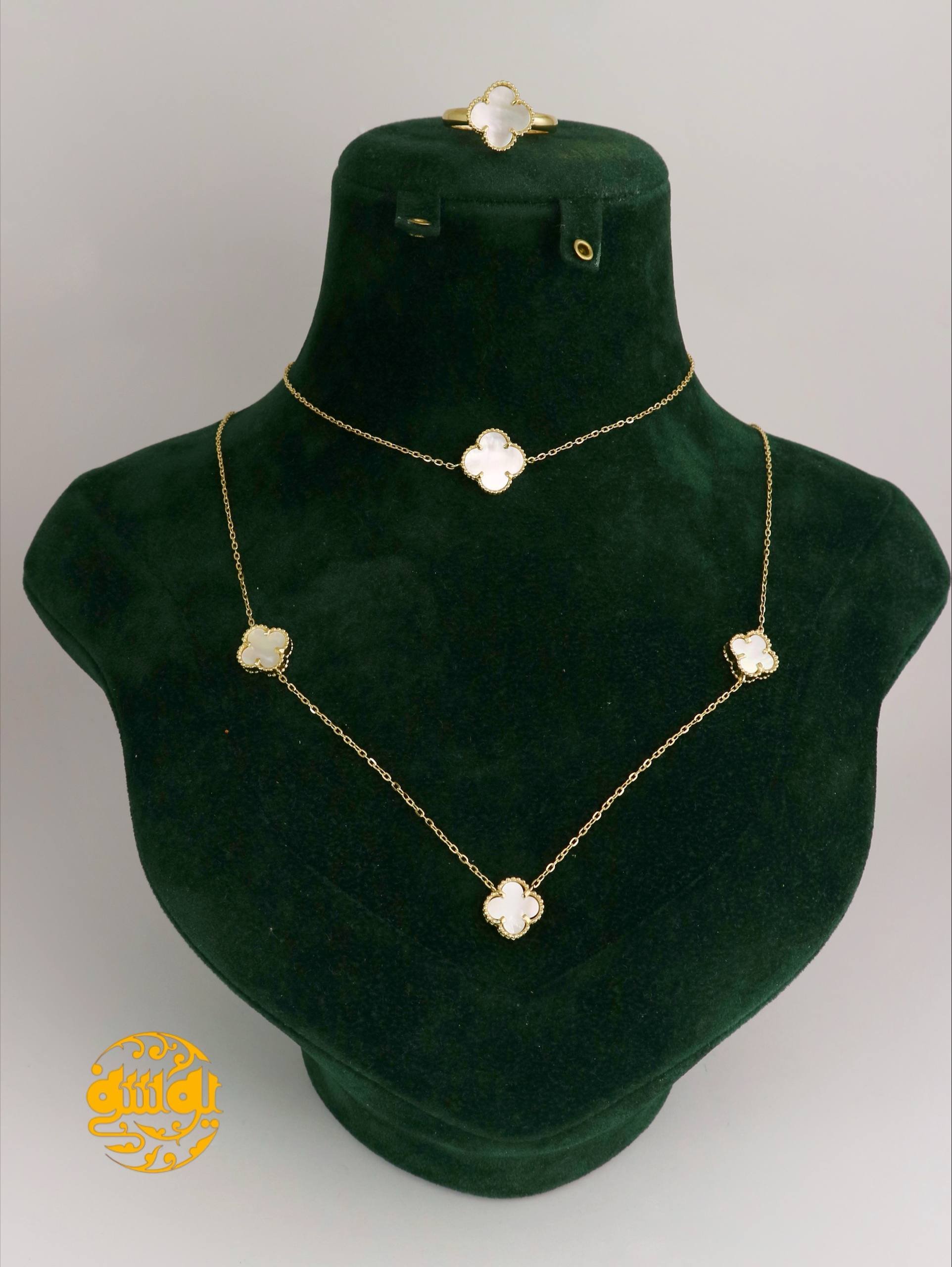 photo_2025-11-09_09-43-25