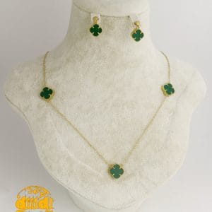 سرویس ونکلیف رنگی