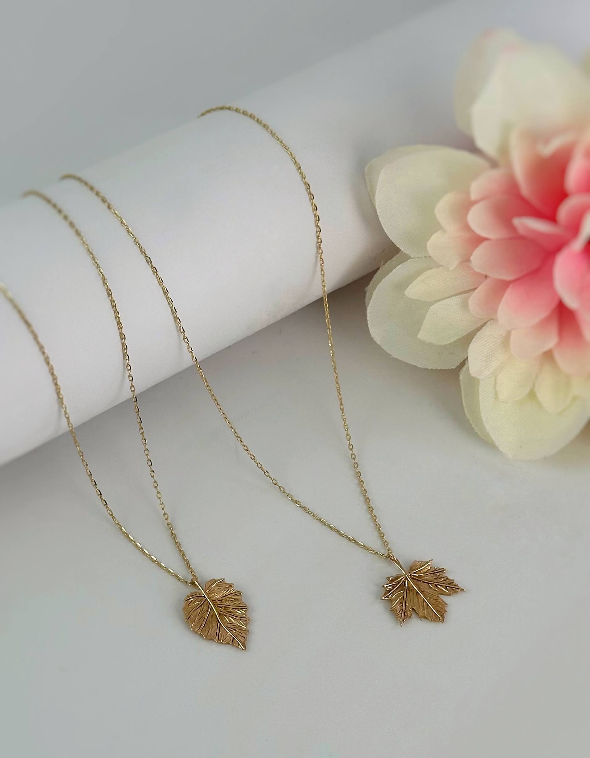 photo_2025-11-22_12-24-03