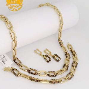 سرویس پلنگی آریانا