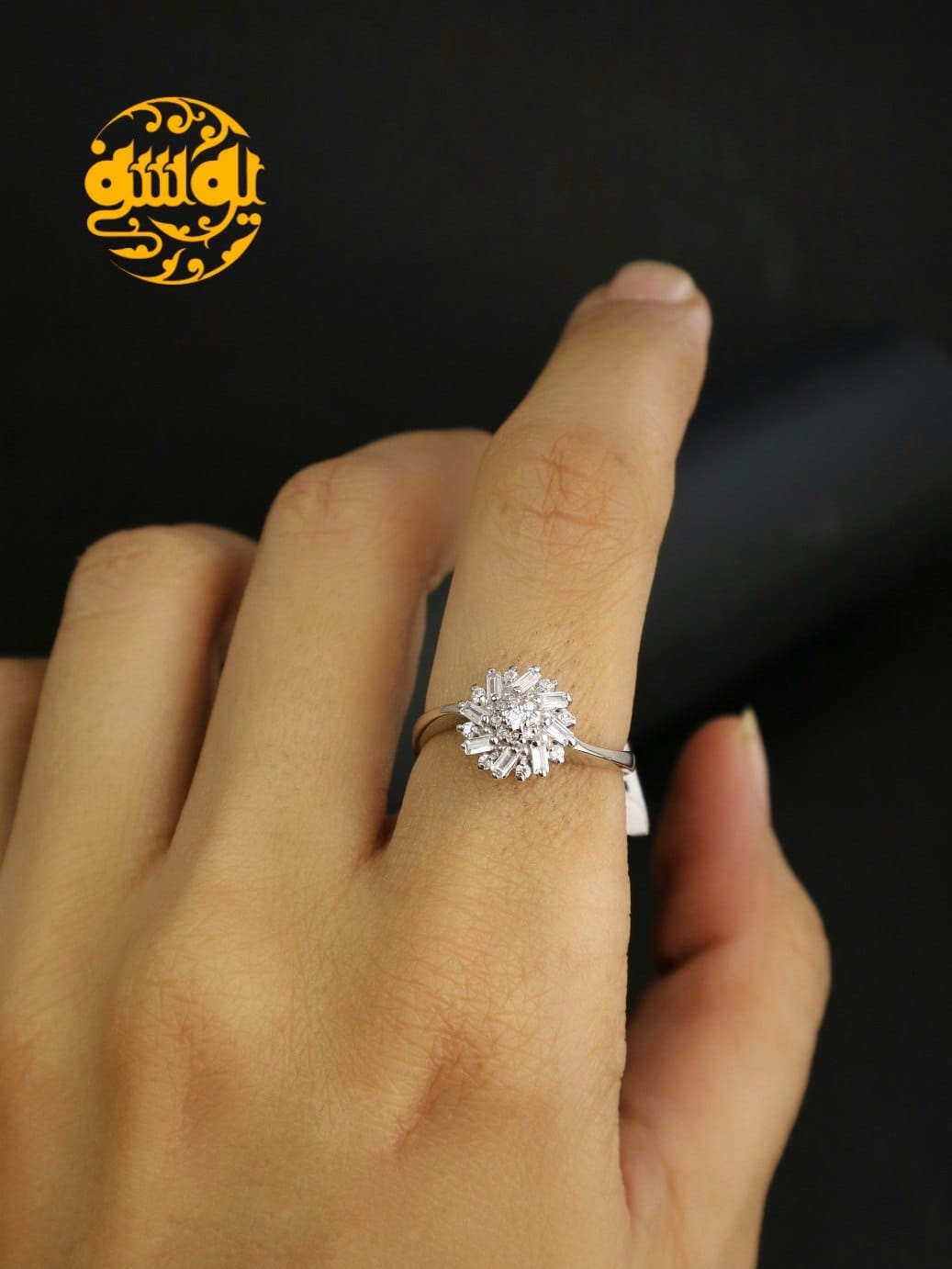 photo_2025-11-25_10-47-33