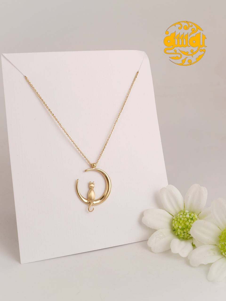 photo_2025-11-25_10-52-42