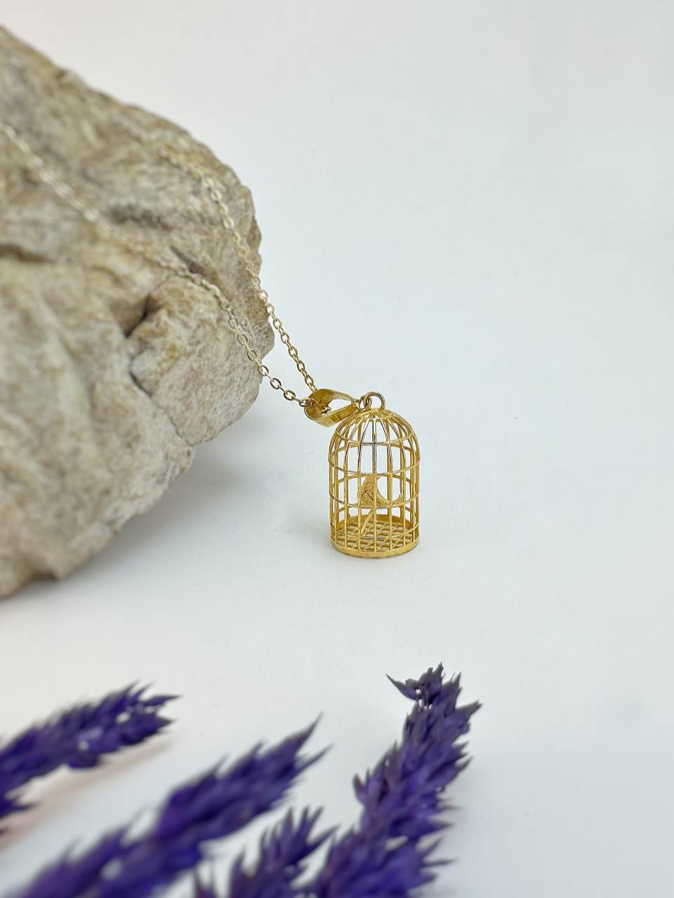 photo_2025-12-04_11-50-49